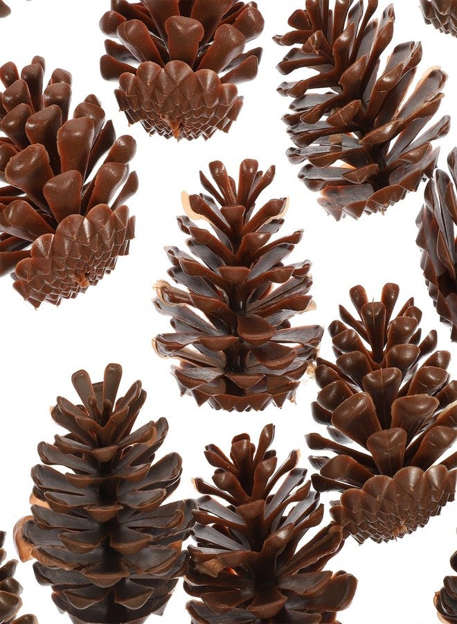 MERRYHAPY 30PCS Plastic Pine Cones 6CM Christmas Natural Mini Pine Cones for Christmas Tree Wreaths and Fall Crafts - Image 1